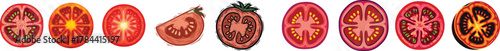 Set of Tomato Slices Cross Section Food Vector Illustration Art