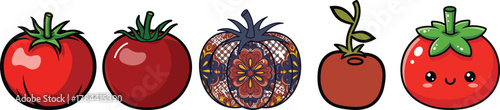 Set of Colorful Tomato Fruit Vegetable Vector Illustration Collection