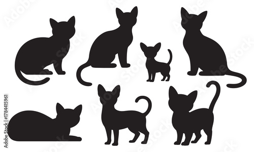 Silhouette of cats isolated on white background