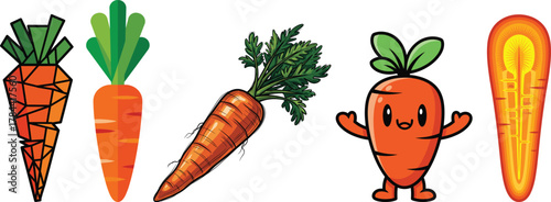 Set of Colorful Carrot Root Vegetable Food Vector Illustration