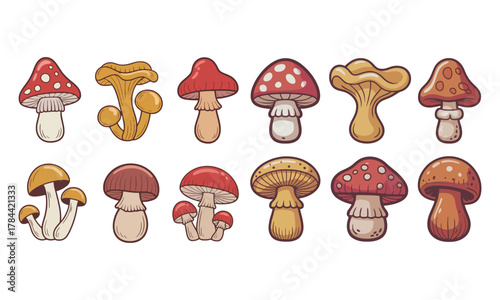 Colorful hand-drawn mushroom vector set, natural fungus collection for design