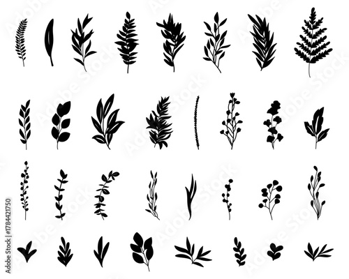 bohemian style plant branches twigs silhouettes collection of botanical black home wall art floral design bundle