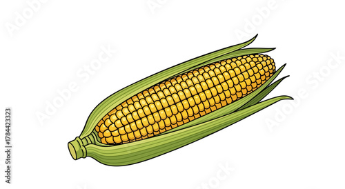 An ear of corn, detailed with yellow kernels and green husks, against a white backdrop