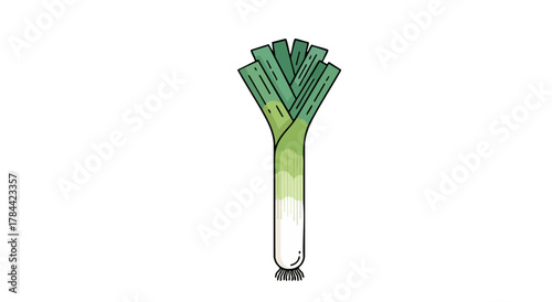 A stylized illustration of a leek vegetable, depicted in green, white and light green
