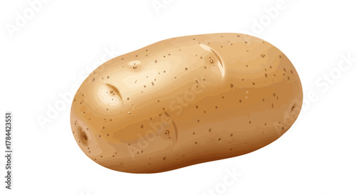 A realistic illustration of a russet potato on a white background