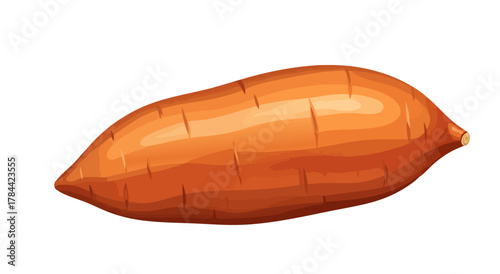 Isolated illustration of a sweet potato, rendered in detailed, shaded, orange tones
