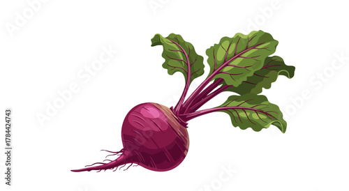 A digitally-rendered, isolated beet. It has a round root, a taproot, and green leaves