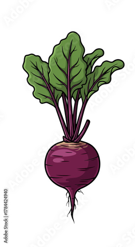 A stylized illustration of leafy greens with green leaves and purple veins