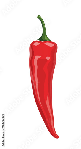 A vibrant, detailed illustration of a red chili pepper, stem-up, set against white