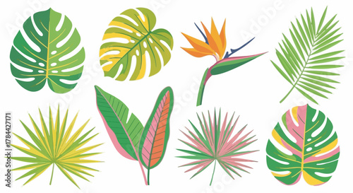 Vibrant collection of tropical leaves and exotic flowers, evoking a lush, natural paradise.
