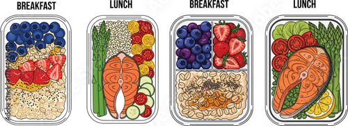 Healthy Meal Prep Containers Salmon Berries Oatmeal Diet Vector Set