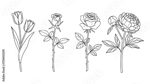 Collection of simple, elegant flower outlines — minimalist line art featuring single stems of tulips, roses, and peonies in both bud and full bloom stages (Single Flower Elegance).