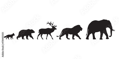 Silhouettes of different animals on white