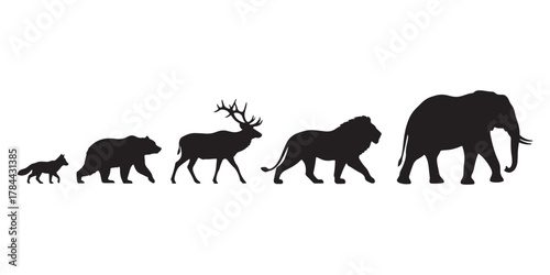 Silhouettes of different animals on white