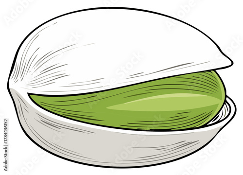 Single Pistachio Nut in Shell Partially Open Showing Green Kernel Vector Illustration