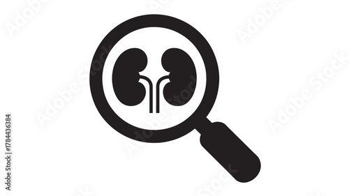 Kidney under magnifying glass icon vector illustration for medical research isolated on white background