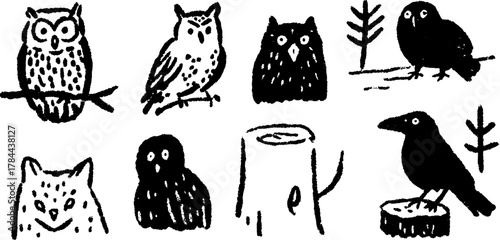 Owls and birds in black silhouette style. Simple vector illustration set of woodland creatures with nature elements.