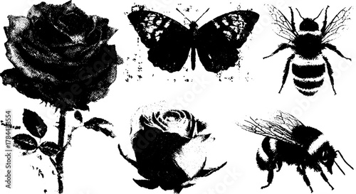 Rose and butterfly illustrations in black silhouette style. Includes bees and floral elements, creating a decorative vector set.