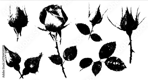 Black rose silhouettes on a white background. Simple floral vector illustration featuring elegant shapes in a cohesive set.