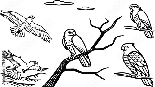 Stunning collection of raptors in detailed line art, soaring eagles and perched hawks evoke freedom and power, great for nature or wildlife designs