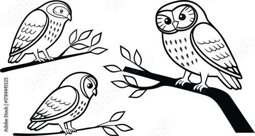 Charming owl trio perched on branches, originally a vector design, perfect for nature illustrations and whimsical designs, scalable for any project