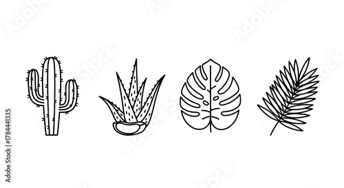 Exotic botanical plants line art design, including cactus, aloe vera, monstera, and fern leaf, perfect for minimalist design or tropical themes