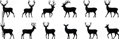 Deer silhouette collection, antler variations, wildlife illustration, black animal shapes, forest creatures, hunting icons, nature design, rustic art, vector deer, minimalist style, printable