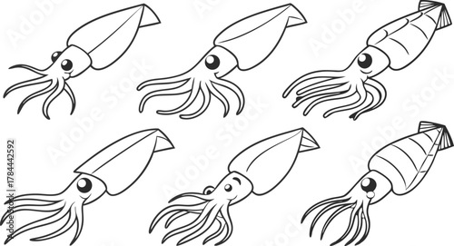 Adorable Squid Cartoon Collection: Marine Life Fun for Kids, Educational Resources, and Seafood Menus, Originally a Scalable Vector Graphic