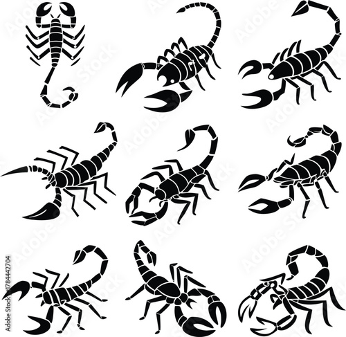 Striking scorpion collection, digitally designed for a bold, edgy look. Perfect for tattoos, logos, zodiac themes, and graphic design projects