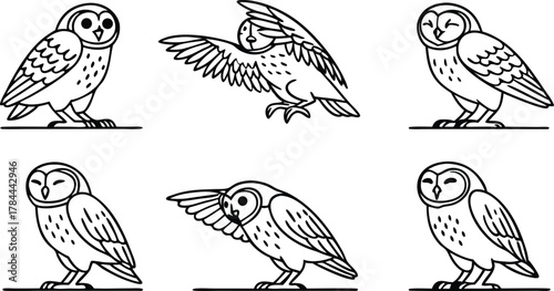 Elegant owl illustrations: Dynamic set of birds in different poses with clean lines, great for logos, icons, or educational resources, wildlife artistry