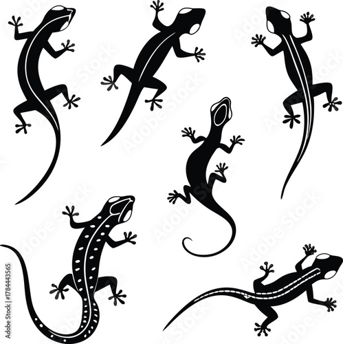 Striking lizard collection for nature lovers and creative designs, perfect for reptile themed projects, with diverse silhouettes and dynamic poses
