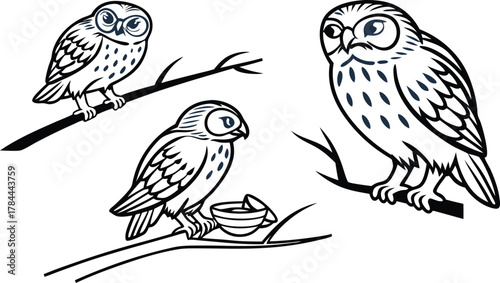 Charming owl family perched on branches, a delightful nature scene evoking wisdom and serenity, perfect for children's books and educational resources