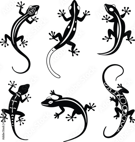 Detailed collection of lizards, beautifully designed for reptile lovers and nature enthusiasts, perfect for branding, tattoos, and unique designs