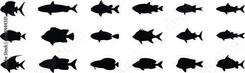 Silhouettes of diverse fish species, black aquatic shapes, marine animal icons, isolated underwater creatures, graphic fish collection, taxonomy reference, biology study, editable vector