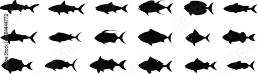Silhouettes of various fish species, black aquatic icons, marine animal shapes, stylized fish collection, underwater wildlife design, isolated fish graphics, editable vector illustration
