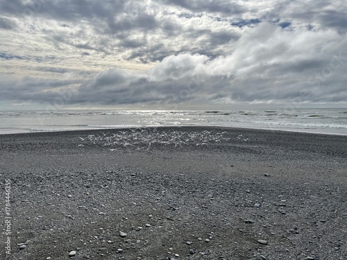 Seagulls at Hokitika Beach NZ