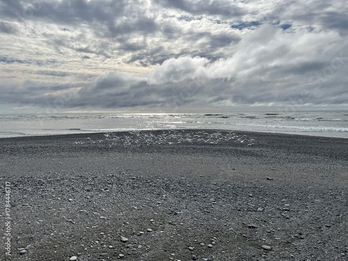 Seagulls at Hokitika Beach NZ