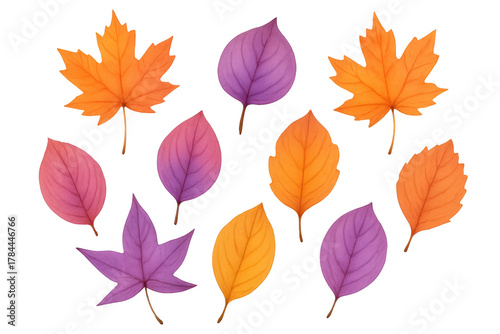 Autumn leaves bundle with colorful foliage, maple and broadleaf shapes, creating seasonal fall designs on transparent background