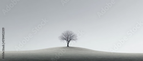 Lone tree on a gentle hill in minimalist winter landscape with soft gray sky