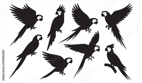 Exotic parrot and macaw silhouette set for tropical, jungle, and freedom-inspired illustration