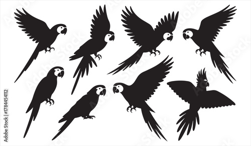 Tropical bird silhouettes collection representing parrots in motion for wildlife design themes