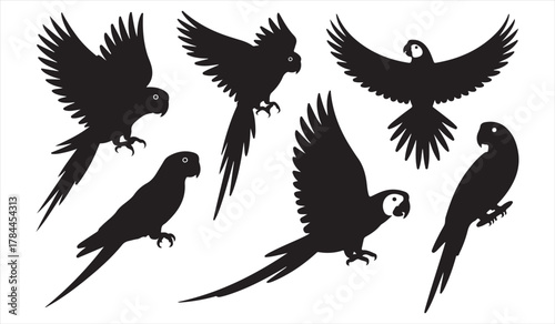 Exotic parrot vector illustration set featuring birds in flight and perching positions