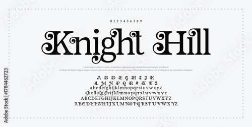 Elegant Font Uppercase Lowercase Number And Ampersand. Classic Lettering Minimal Fashion Designs. Typography modern serif fonts regular decorative vintage concept. vector illustration