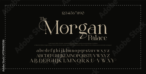 Elegant Font Uppercase Lowercase Number And Ampersand. Classic Lettering Minimal Fashion Designs. Typography modern serif fonts regular decorative vintage concept. vector illustration