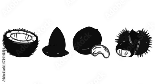 Hand-drawn monochrome illustration set of various healthy nuts and tropical fruits, featuring a halved coconut, crunchy almonds, delicious cashews, and spiky chestnuts on a clean white background