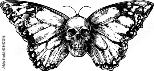 Vintage butterfly skull outline in black and white. Intricate vector illustration set for artistic design.