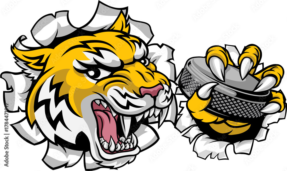 Obraz premium A wildcat or bobcat lynx bobcats wildcats sports team ice hockey mascot