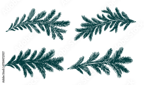 Christmas green tree branch set, hand drawn	
