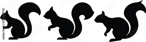 Squirrel silhouette, black and white, minimalist, simple, flat design, vector graphics
