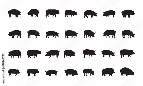 Set of pig silhouette isolated on white background